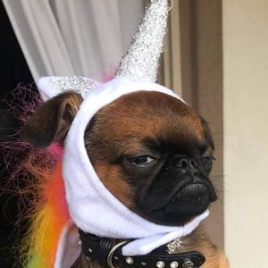 Meet your Posher, Candice